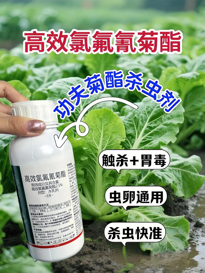 铁门关代生中心:农药对供卵代生妈妈的危害